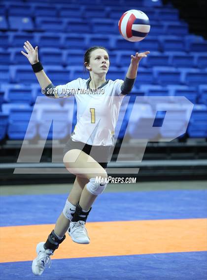 Thumbnail 1 in Hackett vs. Paris (AAA 3A Final) photogallery.