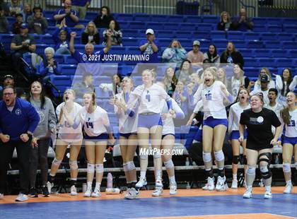 Thumbnail 2 in Hackett vs. Paris (AAA 3A Final) photogallery.