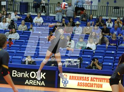 Thumbnail 1 in Hackett vs. Paris (AAA 3A Final) photogallery.