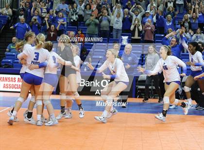 Thumbnail 1 in Hackett vs. Paris (AAA 3A Final) photogallery.