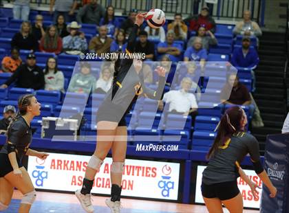 Thumbnail 2 in Hackett vs. Paris (AAA 3A Final) photogallery.
