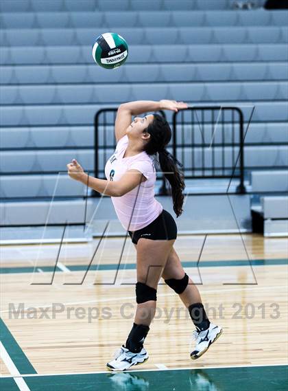 Thumbnail 3 in Fort Myers @ Venice photogallery.