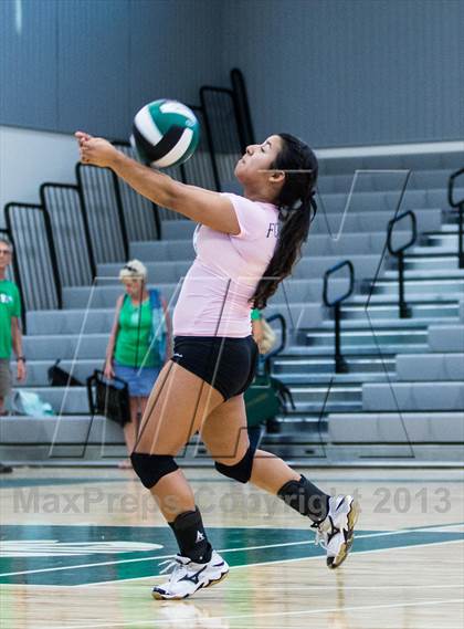 Thumbnail 2 in Fort Myers @ Venice photogallery.