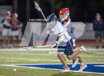 Thumbnail 1 in Manatee @ Calvary Christian photogallery.