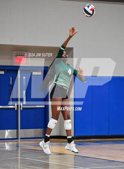 Thumbnail 1 in Gateway College Preperatory vs Madisonville (UIL Volleyball 4A D2 Region III Quarterfinal) photogallery.