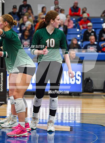 Thumbnail 3 in Gateway College Preperatory vs Madisonville (UIL Volleyball 4A D2 Region III Quarterfinal) photogallery.