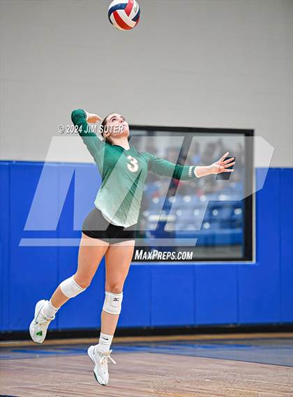 Thumbnail 3 in Gateway College Preperatory vs Madisonville (UIL Volleyball 4A D2 Region III Quarterfinal) photogallery.