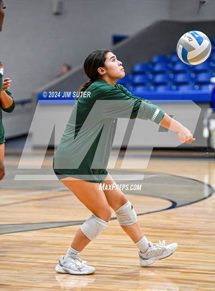 Thumbnail 1 in Gateway College Preperatory vs Madisonville (UIL Volleyball 4A D2 Region III Quarterfinal) photogallery.