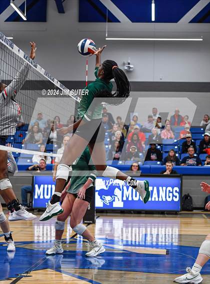 Thumbnail 2 in Gateway College Preperatory vs Madisonville (UIL Volleyball 4A D2 Region III Quarterfinal) photogallery.
