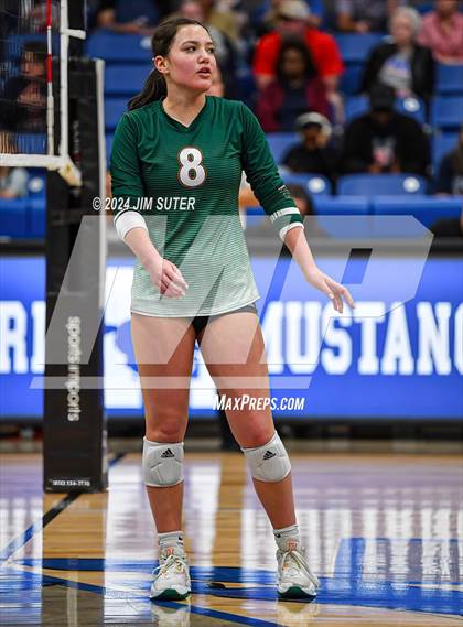 Thumbnail 3 in Gateway College Preperatory vs Madisonville (UIL Volleyball 4A D2 Region III Quarterfinal) photogallery.