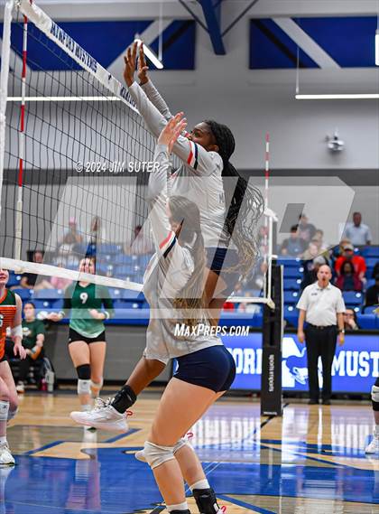 Thumbnail 3 in Gateway College Preperatory vs Madisonville (UIL Volleyball 4A D2 Region III Quarterfinal) photogallery.