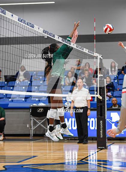 Thumbnail 3 in Gateway College Preperatory vs Madisonville (UIL Volleyball 4A D2 Region III Quarterfinal) photogallery.