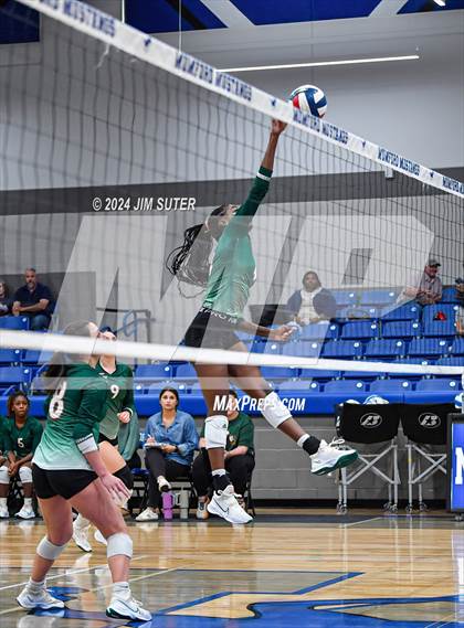 Thumbnail 3 in Gateway College Preperatory vs Madisonville (UIL Volleyball 4A D2 Region III Quarterfinal) photogallery.