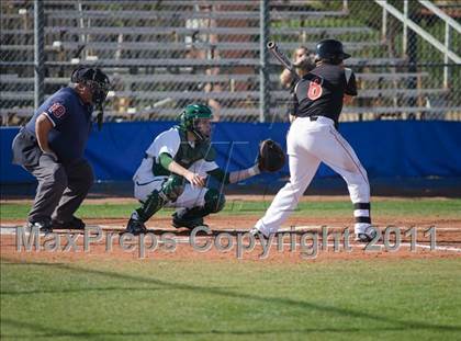 Thumbnail 3 in Sheldon vs. Ponderosa photogallery.