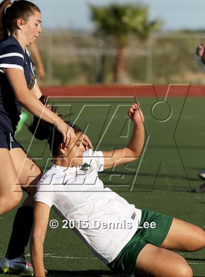 Thumbnail 3 in Napa @ Rodriguez photogallery.