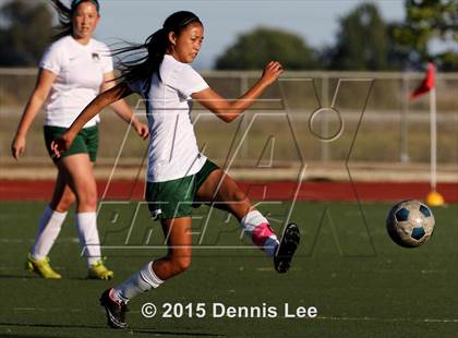 Thumbnail 1 in Napa @ Rodriguez photogallery.