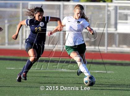 Thumbnail 3 in Napa @ Rodriguez photogallery.