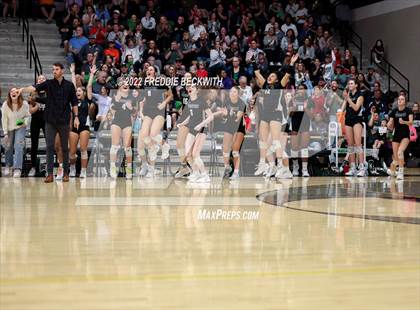 Thumbnail 3 in Plano West vs. Prosper (UIL 6A Regional Quarterfinal) photogallery.