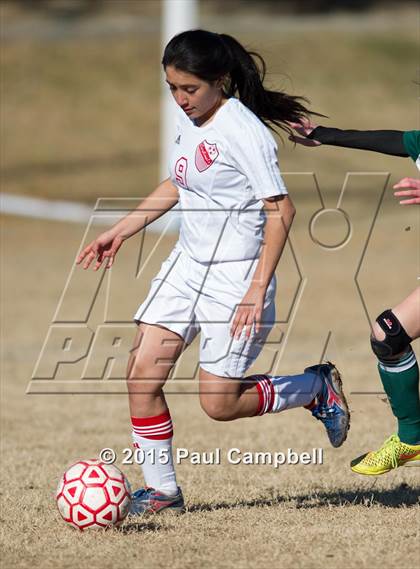 Thumbnail 2 in Horizon vs Glendale (Sun Valley Classic) photogallery.