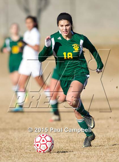 Thumbnail 3 in Horizon vs Glendale (Sun Valley Classic) photogallery.