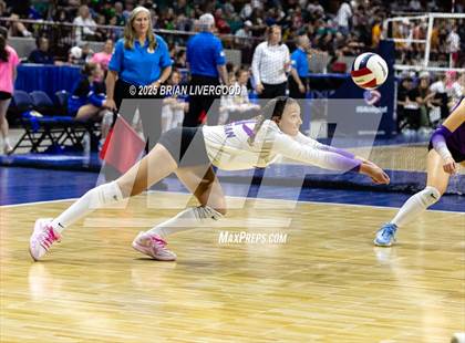 Thumbnail 1 in Montrose vs. Lutheran (CHSAA 4A Third Round) photogallery.