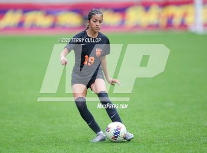 Thumbnail 1 in Ogden vs. Manti (UHSAA 3A Final) photogallery.