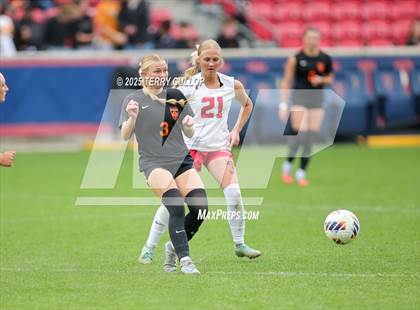 Thumbnail 2 in Ogden vs. Manti (UHSAA 3A Final) photogallery.