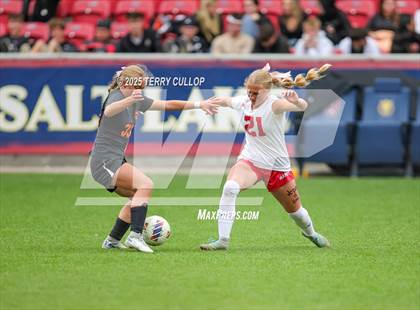 Thumbnail 3 in Ogden vs. Manti (UHSAA 3A Final) photogallery.