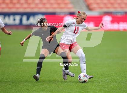 Thumbnail 3 in Ogden vs. Manti (UHSAA 3A Final) photogallery.