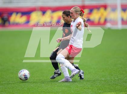 Thumbnail 2 in Ogden vs. Manti (UHSAA 3A Final) photogallery.