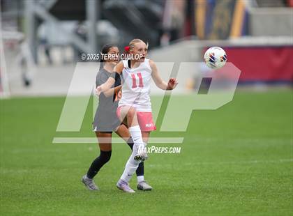 Thumbnail 3 in Ogden vs. Manti (UHSAA 3A Final) photogallery.