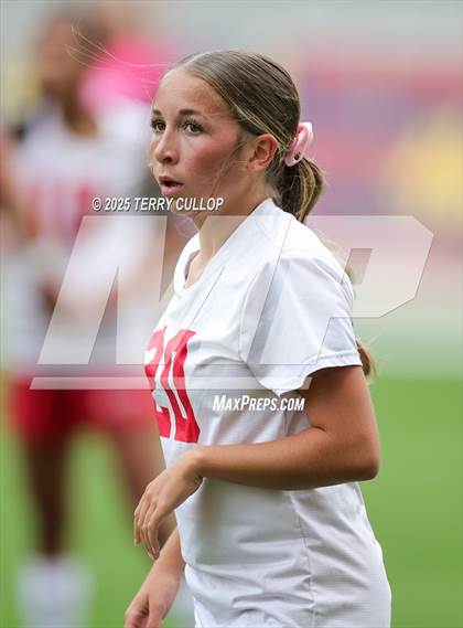 Thumbnail 1 in Ogden vs. Manti (UHSAA 3A Final) photogallery.