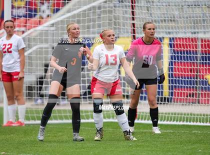Thumbnail 3 in Ogden vs. Manti (UHSAA 3A Final) photogallery.
