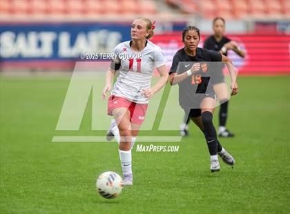Thumbnail 3 in Ogden vs. Manti (UHSAA 3A Final) photogallery.