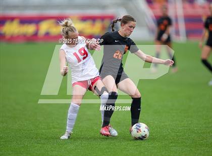 Thumbnail 1 in Ogden vs. Manti (UHSAA 3A Final) photogallery.