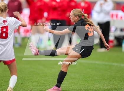 Thumbnail 3 in Ogden vs. Manti (UHSAA 3A Final) photogallery.