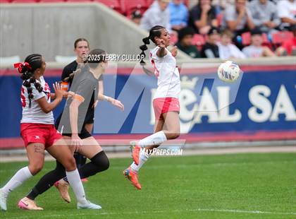 Thumbnail 1 in Ogden vs. Manti (UHSAA 3A Final) photogallery.