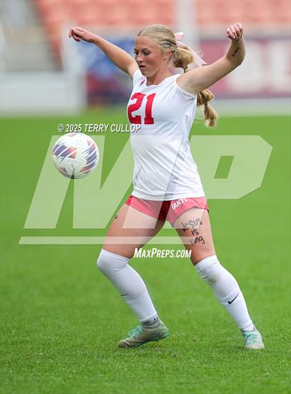 Thumbnail 1 in Ogden vs. Manti (UHSAA 3A Final) photogallery.