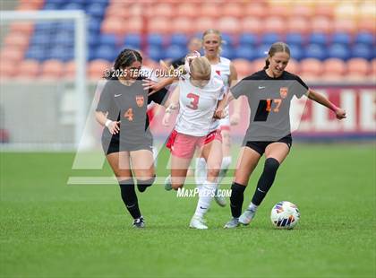 Thumbnail 2 in Ogden vs. Manti (UHSAA 3A Final) photogallery.