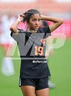 Photo from the gallery "Ogden vs. Manti (UHSAA 3A Final)"