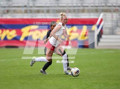 Thumbnail 3 in Ogden vs. Manti (UHSAA 3A Final) photogallery.