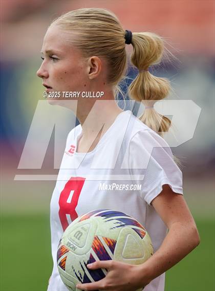 Thumbnail 1 in Ogden vs. Manti (UHSAA 3A Final) photogallery.