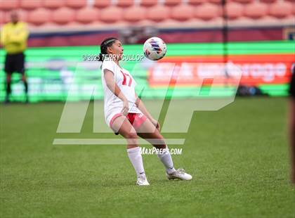 Thumbnail 2 in Ogden vs. Manti (UHSAA 3A Final) photogallery.