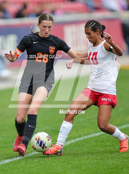Thumbnail 1 in Ogden vs. Manti (UHSAA 3A Final) photogallery.