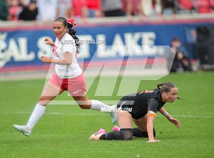 Thumbnail 3 in Ogden vs. Manti (UHSAA 3A Final) photogallery.