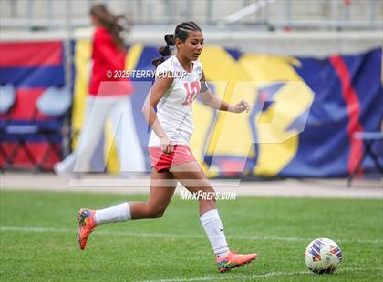 Thumbnail 1 in Ogden vs. Manti (UHSAA 3A Final) photogallery.