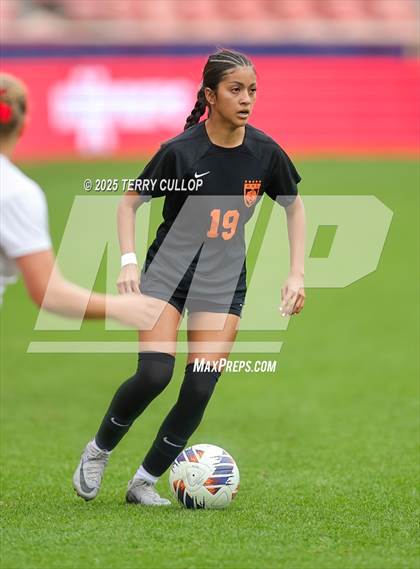 Thumbnail 2 in Ogden vs. Manti (UHSAA 3A Final) photogallery.