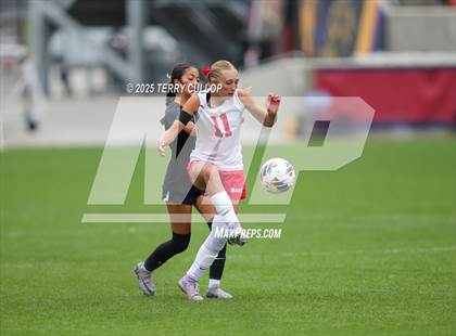 Thumbnail 1 in Ogden vs. Manti (UHSAA 3A Final) photogallery.