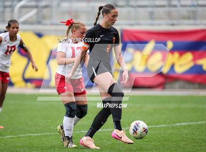 Thumbnail 1 in Ogden vs. Manti (UHSAA 3A Final) photogallery.