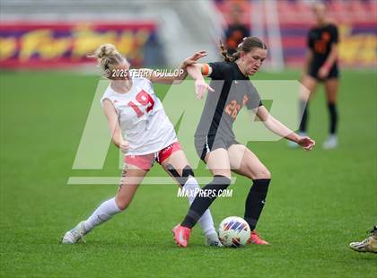 Thumbnail 2 in Ogden vs. Manti (UHSAA 3A Final) photogallery.